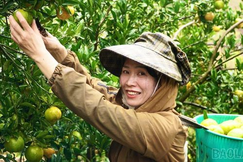 Phụ nữ vùng cao thay đổi tư duy phát triển kinh tế, giảm nghèo bền vững