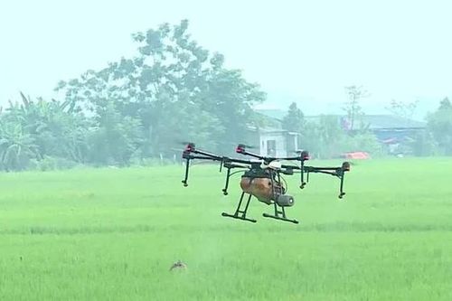 Cơ giới hóa trong sản xuất nông nghiệp