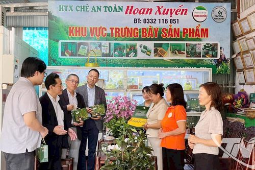 Tiêu thụ nông sản gắn với làm du lịch