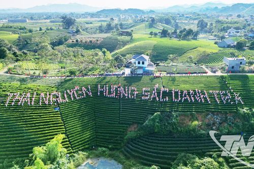 Ngày hội hương trà xứ Thái