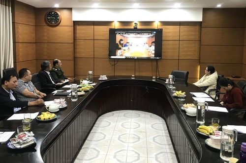 Thúc đẩy tiềm năng vùng nguyên liệu gỗ rừng trồng