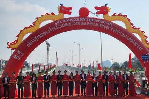 Thông xe kỹ thuật cầu dây văng vượt đường sắt Bắc - Nam đầu tiên ở Thanh Hóa
