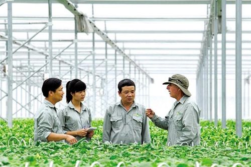 Cung cấp thông tin, bồi dưỡng kiến thức pháp luật cho doanh nghiệp
