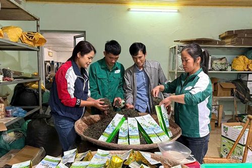 Toàn tỉnh có trên 2.330 ha vùng nguyên liệu hữu cơ
