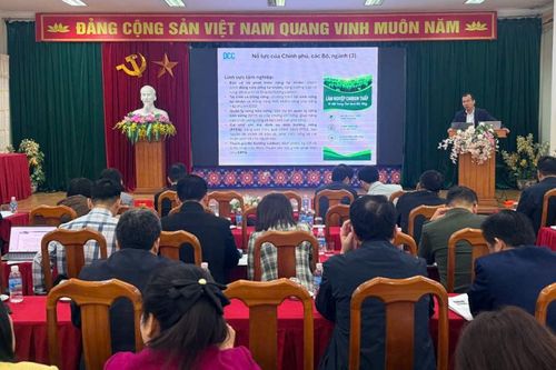 Tuyên truyền, phổ biến và cập nhật kiến thức về biến đổi khí hậu cho gần 100 cán bộ, công chức