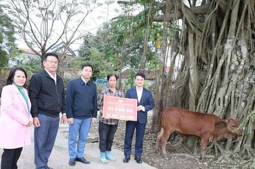 Trao 'cần câu' cho vùng 'rốn lũ' Xuân Mai