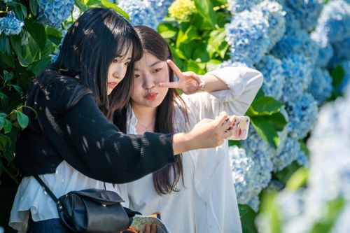 Cư dân nước ngoài tăng kỷ lục ở Hàn Quốc, người Việt đông bậc nhất