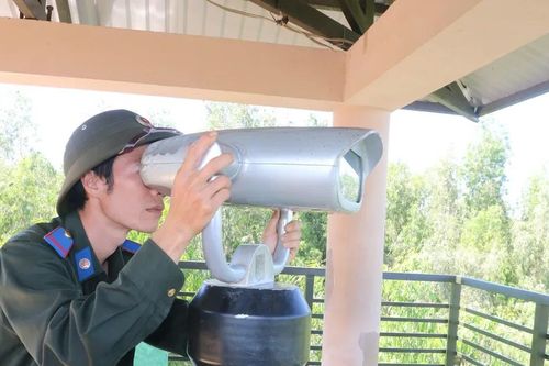 Thầm lặng giữ 'lá phổi xanh' Trà Sư