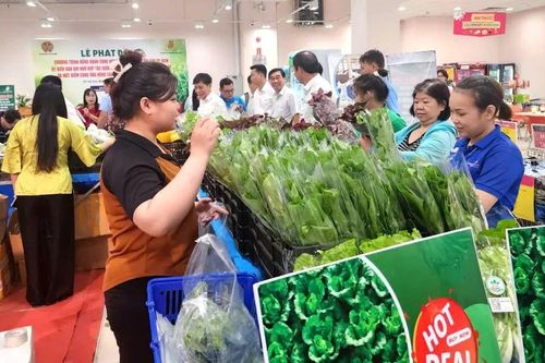 Đồng hành cùng nông sản sạch trên địa bàn TPHCM giai đoạn 2025 - 2030