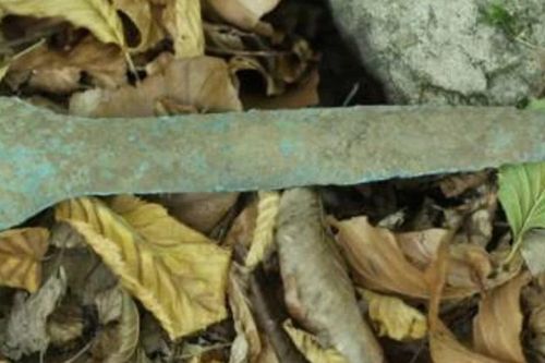 Đi dạo trong rừng, bất ngờ tìm thấy dao găm cổ 3.500 tuổi