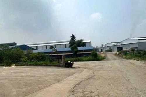 Phú Thọ chặt 'vòi bạch tuộc' gây ô nhiễm môi trường
