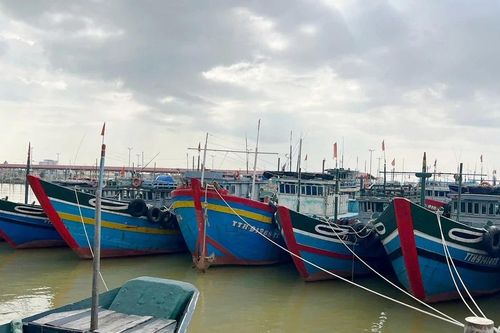 Vì sao hàng nghìn hồ sơ hỗ trợ nhiên liệu tàu cá xa bờ tại Huế chưa được xử lý?