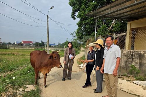 Thái Nguyên, Nhiều hộ dân tiêu biểu nuôi bò sinh sản 'cần câu' hữu hiệu trong giảm nghèo.