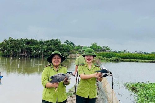 Đẩy mạnh thực thi pháp luật, bảo tồn đa dạng sinh học và bảo vệ động vật hoang dã