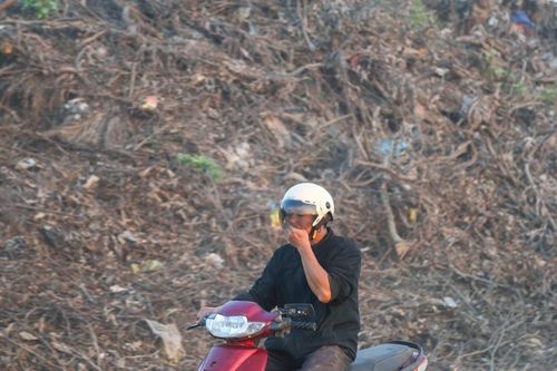 Nghệ An: Ngổn ngang cây gãy đổ sau bão, rác thải sinh hoạt trên nhiều tuyến đường, vỉa hè