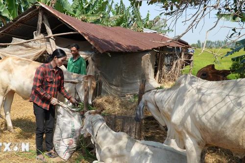 Việt Nam được cộng đồng quốc tế ghi nhận là điểm sáng về giảm nghèo