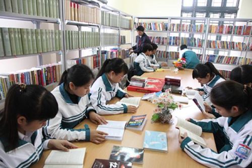 Hơn 1,4 triệu học sinh hưởng lợi từ chương trình nâng cao chất lượng thư viện