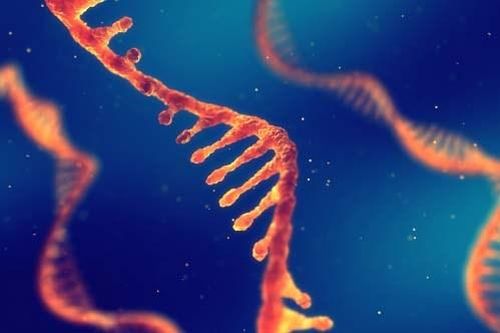 Phát hiện mới về virus có thể giúp chống lại tình trạng kháng kháng sinh