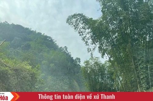 Đại ngàn không còn xa
