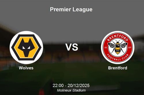 Nhận định Wolves vs Brentford - Premier League