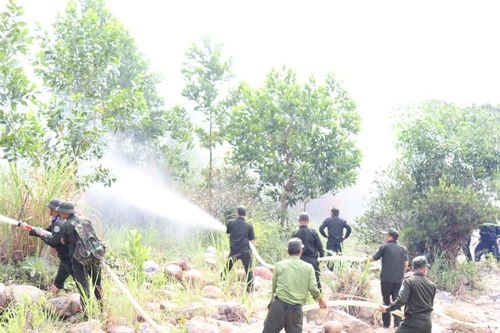 Chủ động thích ứng mô hình mới, nâng cao hiệu quả quản lý và bảo vệ rừng