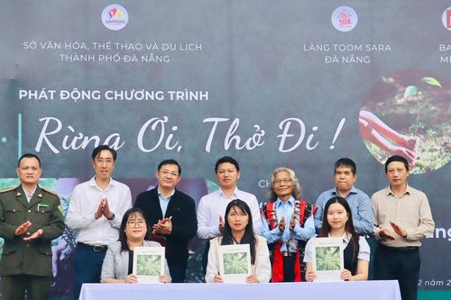 Đà Nẵng phát động chương trình 'Rừng ơi, thở đi!'