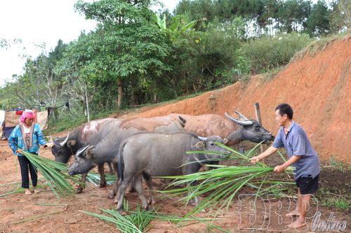 Điểm tựa người dân vùng biên