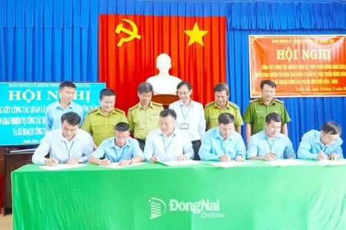 Đảm bảo tốt công tác quản lý, bảo vệ và phát triển rừng