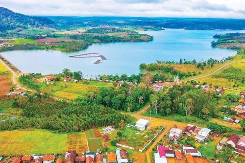 Vĩnh Sơn thắm sắc hoa đào mùa đông