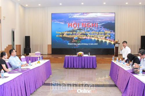Năm 2025, Khánh Hòa đáp ứng hơn 35% nhu cầu tôm giống cả nước