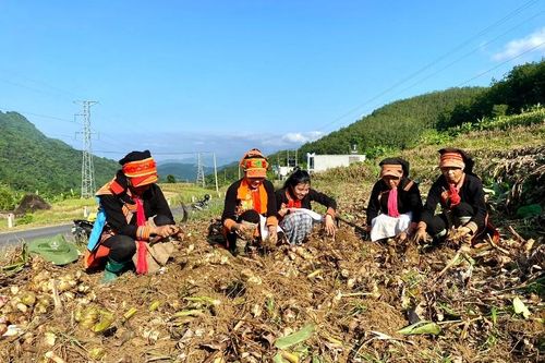 Triển khai hiệu quả chính sách dân tộc, nâng cao đời sống nhân dân