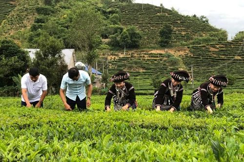 Xã Mường Khoa đẩy mạnh tuyên truyền chính sách dân tộc