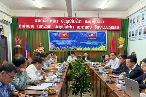 Lâm Đồng tập huấn kỹ thuật canh tác rau, cây ăn quả cho tỉnh Champasak (Lào)