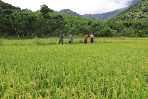 Thay đổi tư duy, khởi sắc cuộc sống bản làng