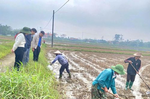 Xã Triệu Cơ: Sôi nổi ngày hội ra quân diệt chuột và vệ sinh đồng ruộng