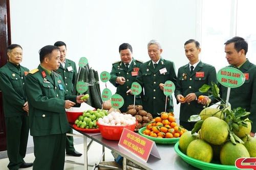 Trưng bày sản phẩm nông sản an toàn tiêu biểu của hội viên cựu chiến binh