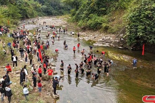 Đặc sắc cuộc thi hái rêu ở Chiềng Lao