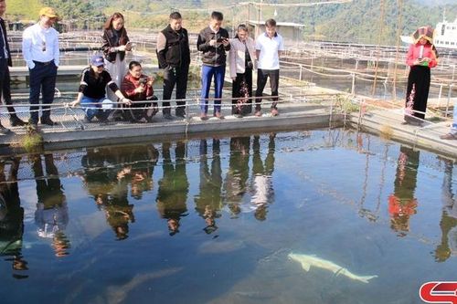 Liên kết để phát triển du lịch bền vững