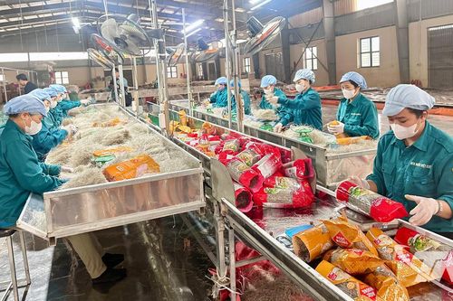 'Giữ lửa' sản xuất miến vụ Tết