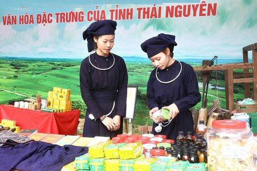 Giữ 'hồn' trà Tân Cương qua những thế hệ