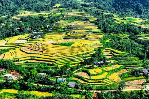 Đồng Phúc - miền xanh thức tỉnh