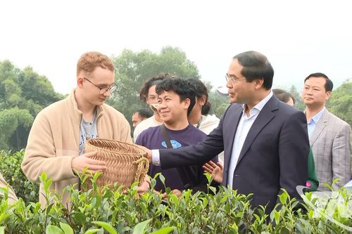 Bí thư Tỉnh ủy Thái Nguyên cùng du khách trải nghiệm hái chè tại Tân Cương