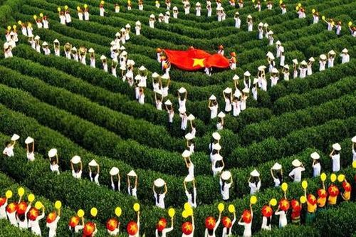 Hương sắc không gian trà, định danh 'thủ phủ chè' Thái Nguyên