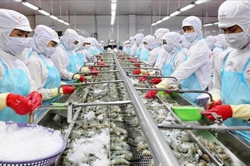 Doanh nghiệp nông - thủy sản trước thách thức thuế quan và lãi suất năm 2026