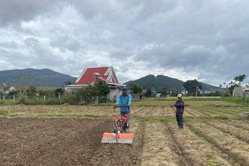 Khắc phục hậu quả mưa lũ, Lâm Đồng tập trung tái thiết sản xuất nông nghiệp