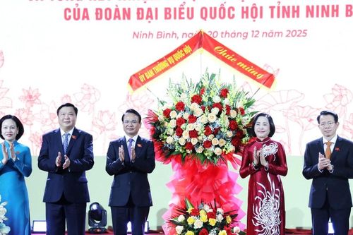 Phó Chủ tịch Quốc hội Nguyễn Thị Thanh dự tổng kết công tác nhiệm kỳ Khóa XV của Đoàn đại biểu Quốc hội tỉnh Ninh Bình