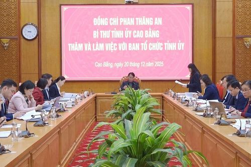 Bí thư Tỉnh ủy Phan Thăng An làm việc với Ban Tổ chức Tỉnh ủy