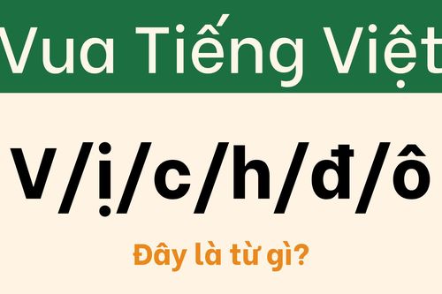 Ai là 'trùm cuối' của thử thách 'vua tiếng Việt'?
