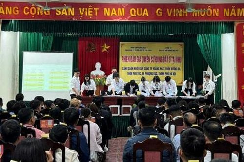 Phượng Dực đấu giá thành công 27 thửa đất, giá trúng cao nhất gần 70 triệu đồng/m²