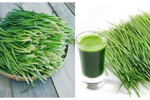 Ho có đờm uống gì cho dễ chịu cổ họng, giảm ho nhanh?